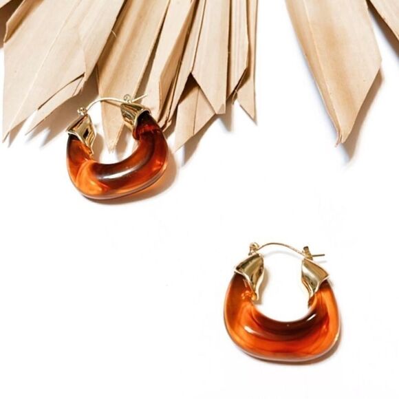 Brown Hoop Earrings N1436 - Picture 2 of 5